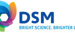logo-dsm