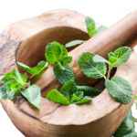 Anaisa consumo responsable