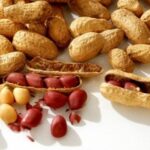 Vitamina B3 f